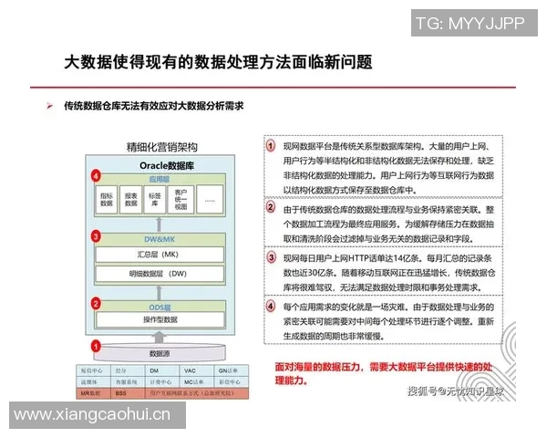 打造全球化商务生态系统:创新策略与企业转型的关键路径分析 打造全球化商务生态系统:创新策略与企业转型的关键路径分析