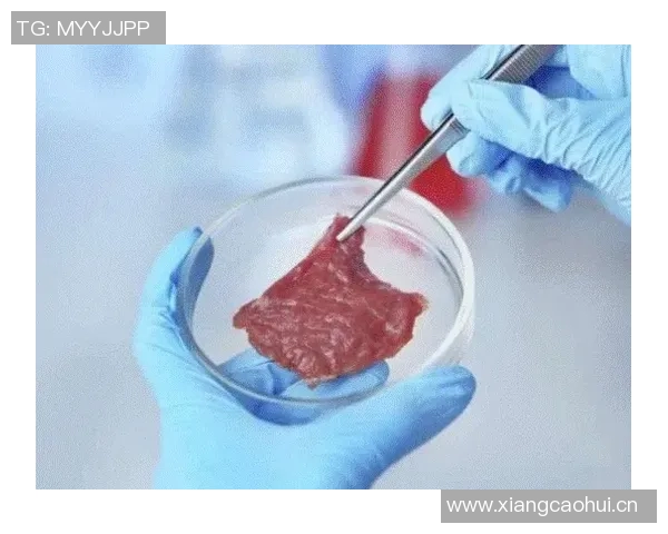 游泳运动对身体健康的多重益处及其科学依据解析 游泳运动对身体健康的多重益处及其科学依据解析