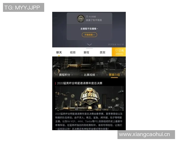 V5战队重塑自我之路精英赛特别报道揭示转型背后的故事与挑战 V5战队重塑自我之路精英赛特别报道揭示转型背后的故事与挑战