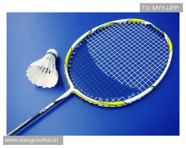 深入探讨上海羽毛球队意识形态的差异与影响因素分析